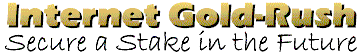 iGoldrush Logo 1997
